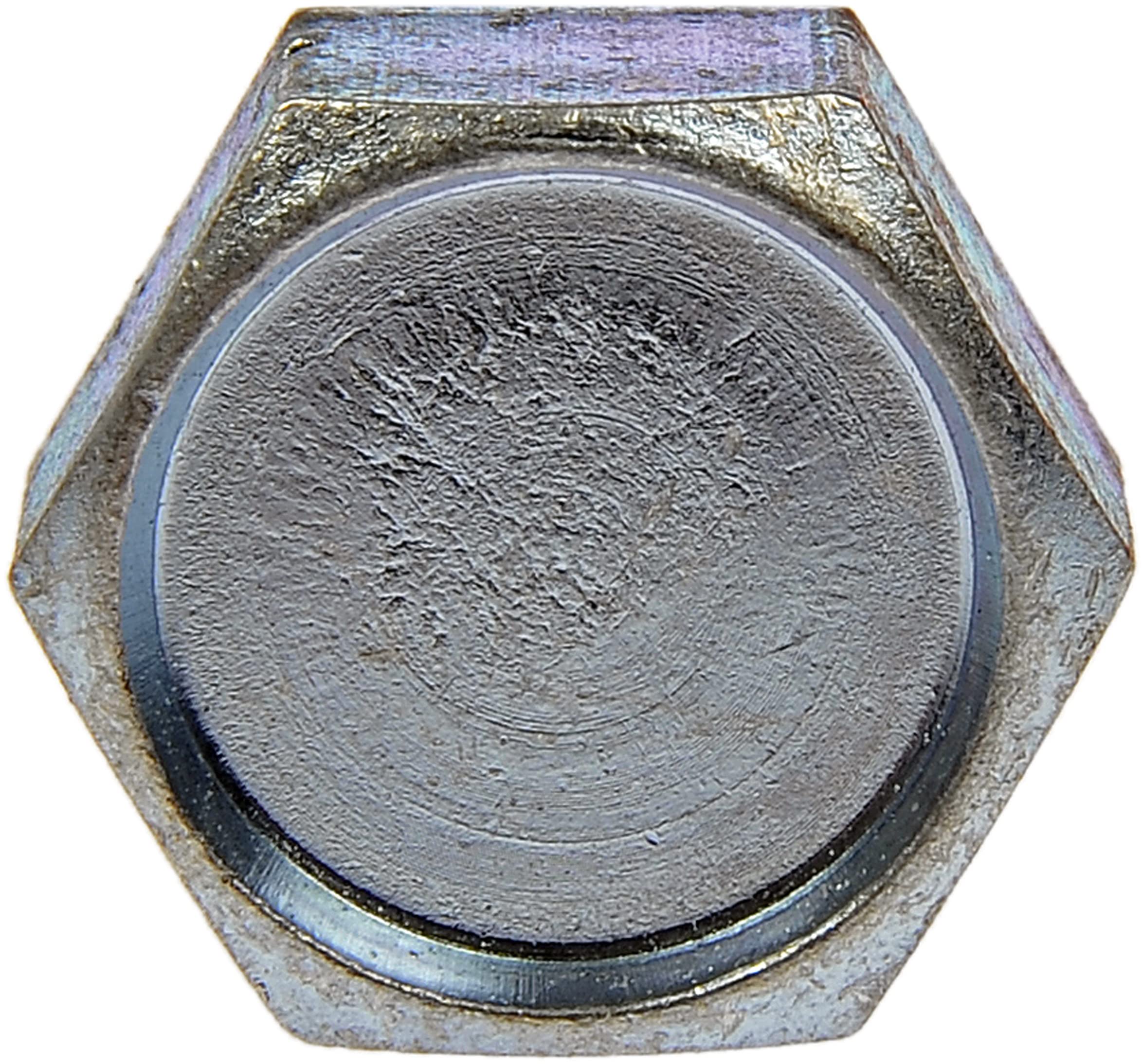 Amazon.com: Dorman 365-204 Sheet Metal Screw-Hex Washer Head Head